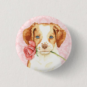 Valentine Ro Brittany Knapp
