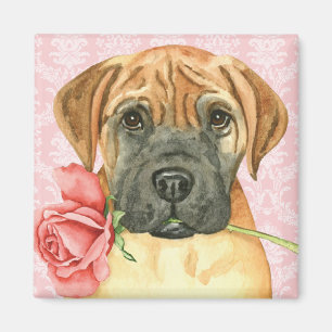 Valentine Ro Bullmastiff Magnet