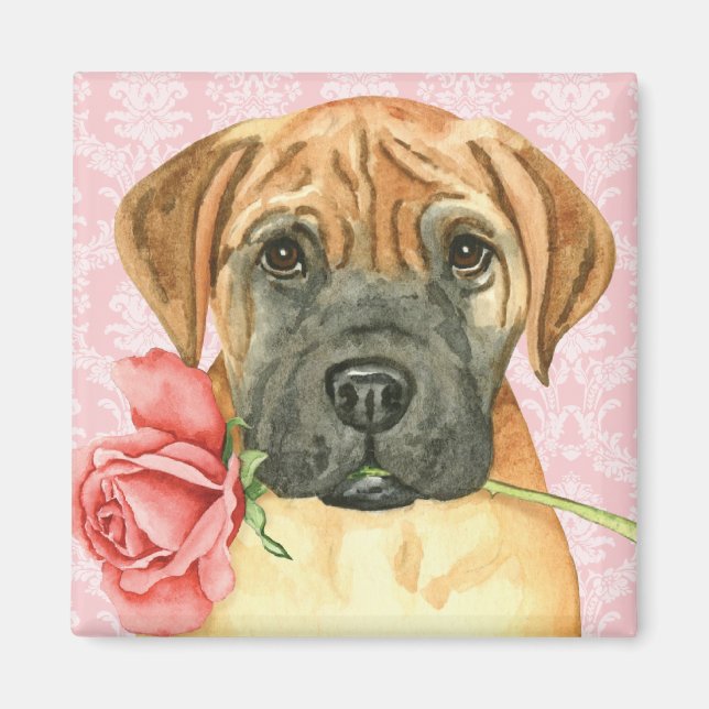 Valentine Ro Bullmastiff Magnet (Framsidan)