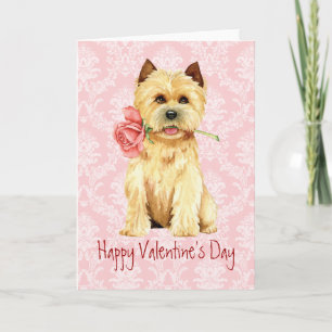 Valentine Ro Cairn Terrier Helgdag Card Helgkort