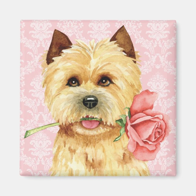 Valentine Ro Cairn Terrier Magnet (Framsidan)