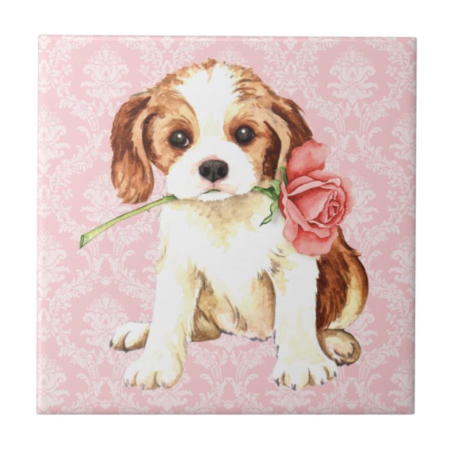 Valentine Ro Cavalier Kakelplatta (Framsidan)