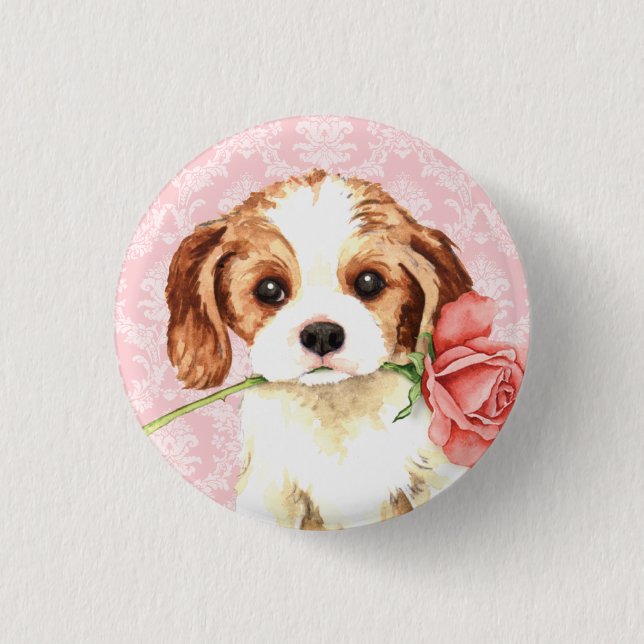 Valentine Ro Cavalier Knapp (Framsida)