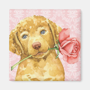 Valentine Ro Chesapeake Bay Retriever Magnet