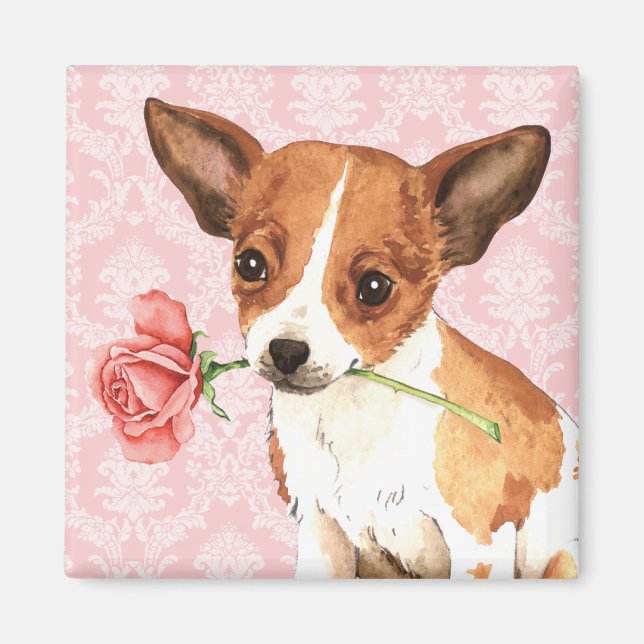 Valentine Ro Chihuahua Magnet (Framsidan)
