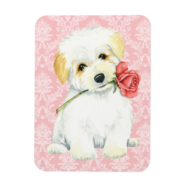Valentine Ro Coton de Tulear Magnet (Vertikal)