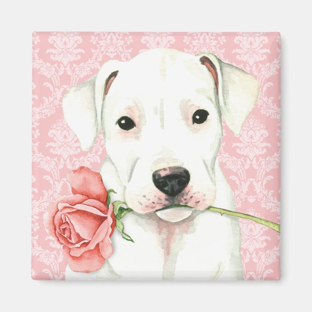 Valentine Ro Dogo Magnet (Framsidan)