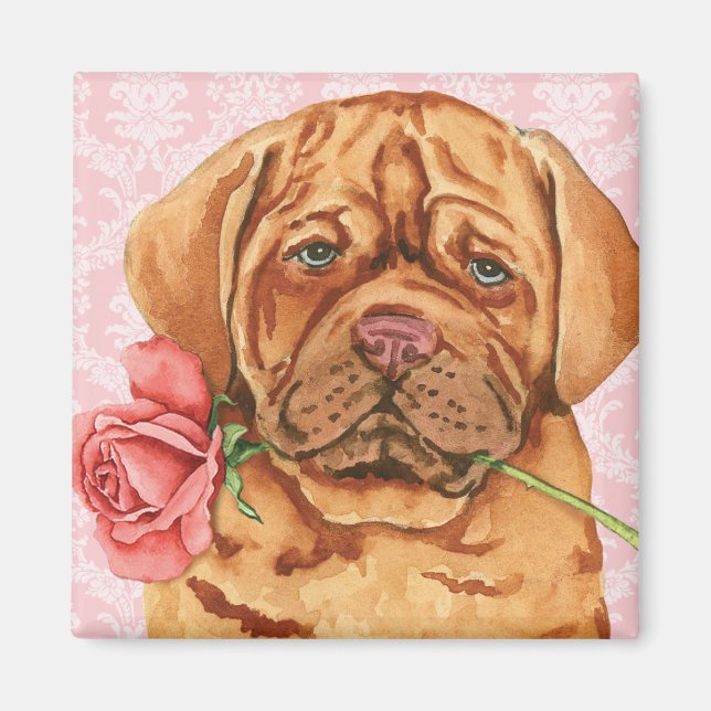 Valentine Ro Dogue de Bordeaux Magnet (Framsidan)