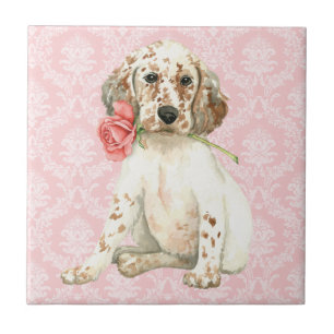 Valentine Ro English Setter Kakelplatta