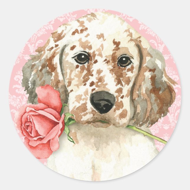 Valentine Ro English Setter Runt Klistermärke (Framsida)
