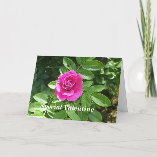 Valentine Ro för någon Speciellare Helgkort (Framsida)