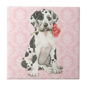Valentine Ro Great dane Kakelplatta