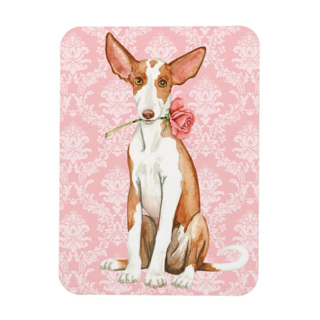 Valentine Ro Ibizan Hound Magnet (Vertikal)