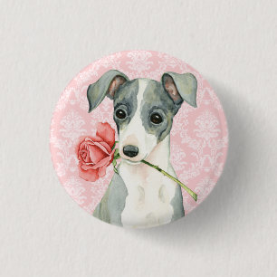 Valentine Ro Italienska Greyhound Knapp