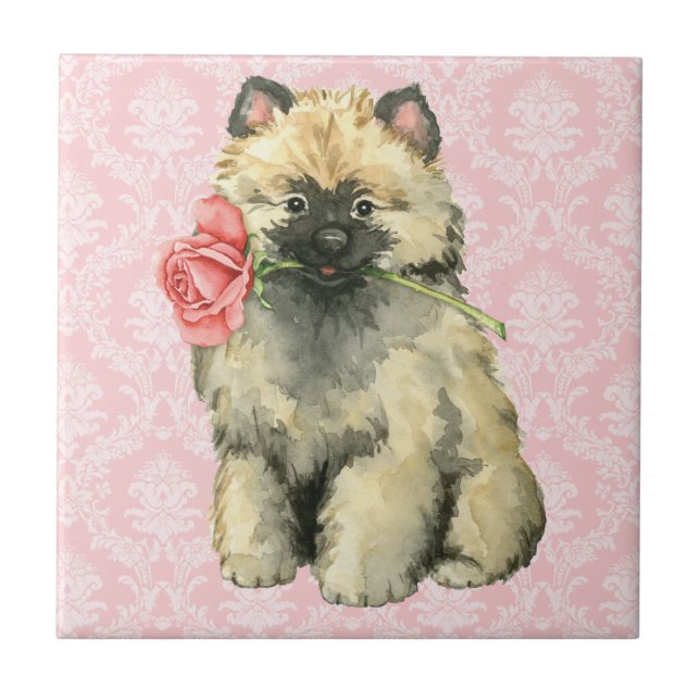 Valentine Ro Keeshond Kakelplatta (Framsidan)