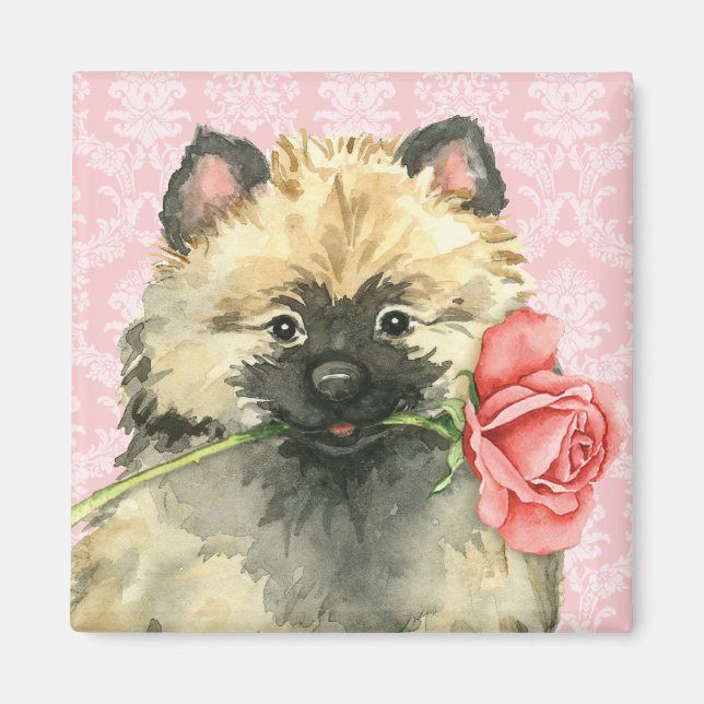 Valentine Ro Keeshond Magnet (Framsidan)