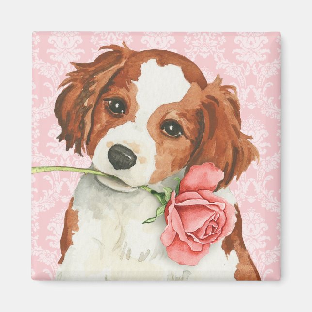 Valentine Ro Kooiker Magnet (Framsidan)