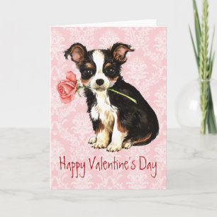 Valentine Ro Long Jacka Chihuahua Helgkort