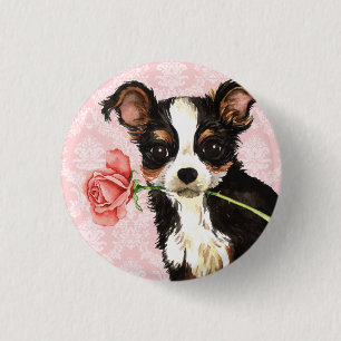 Valentine Ro Long Jacka Chihuahua Knapp