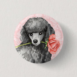 Valentine Ro Miniature Pudel Knapp