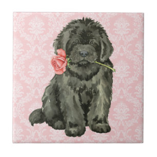 Valentine Ro Newfoundland Kakelplatta
