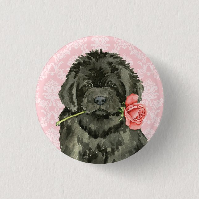 Valentine Ro Newfoundland Knapp (Framsida)
