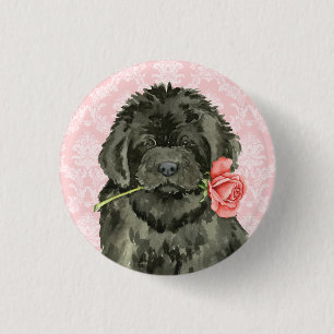 Valentine Ro Newfoundland Knapp
