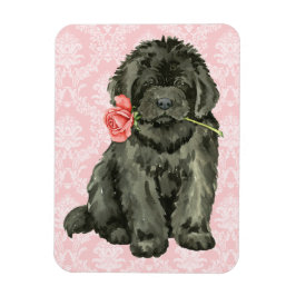 Valentine Ro Newfoundland Magnet