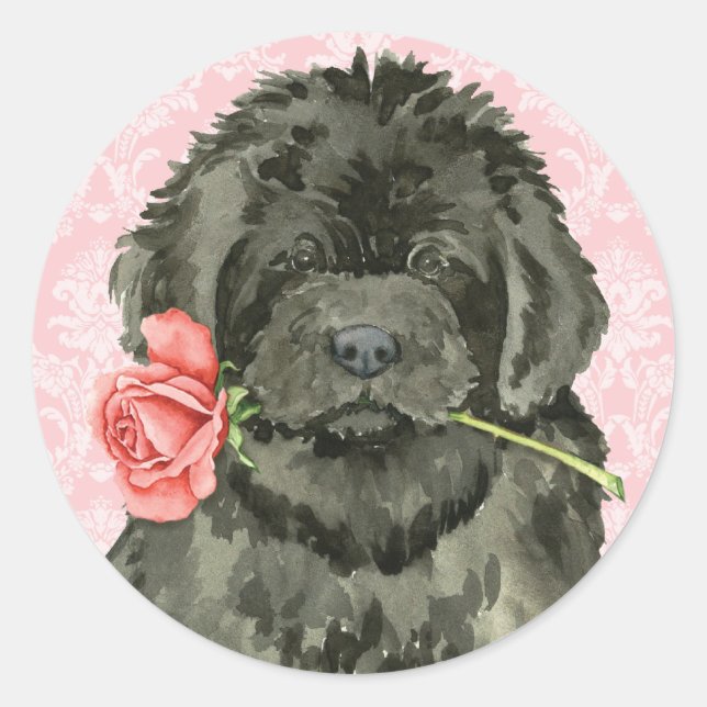 Valentine Ro Newfoundland Runt Klistermärke (Framsida)