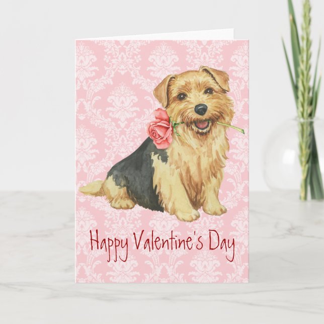 Valentine Ro Norfolk Terrier Helgkort (Framsida)