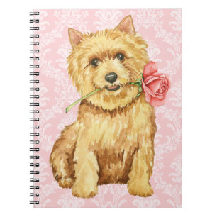 Valentine Ro Norwich Terrier Anteckningsbok