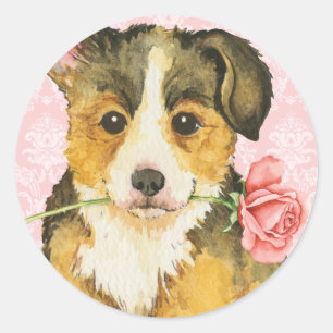 Valentine Ro Pembroke Welsh Corgi Runt Klistermärke