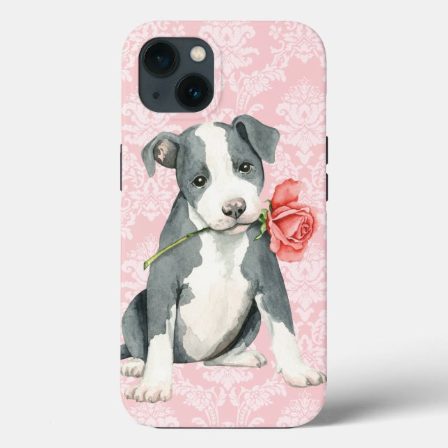 Valentine Ro Pit Bull (Baksida)