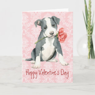 Valentine Ro Pit Bull Helgkort
