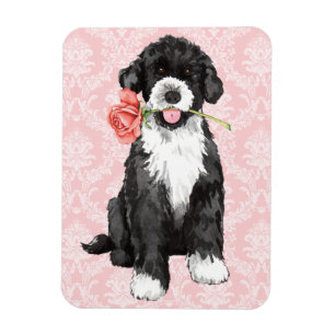Valentine Ro PWD Magnet