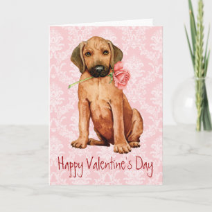 Valentine Ro Rhodesian Ridgeback Helgkort