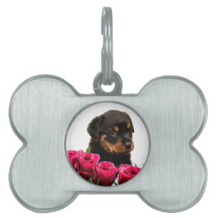 Valentine Ro Rottweiler Puppy Namnbricka Husdjur