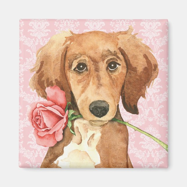 Valentine Ro Saluki Magnet (Framsidan)