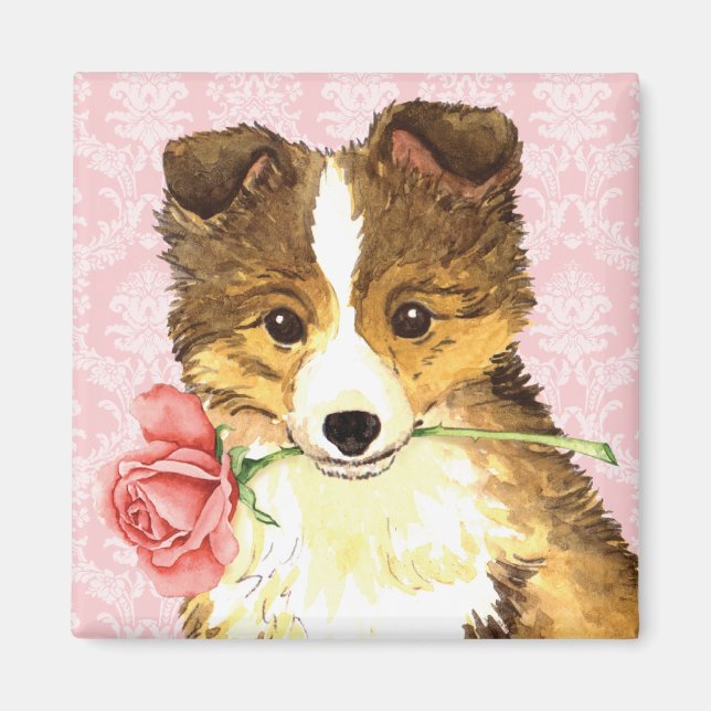Valentine Ro Sheltie Magnet (Framsidan)