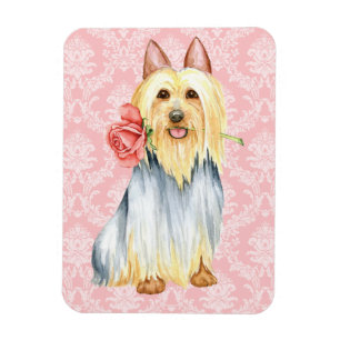 Valentine Ro Silky Terrier Magnet