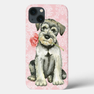 Valentine Ro Standard Schnauzer