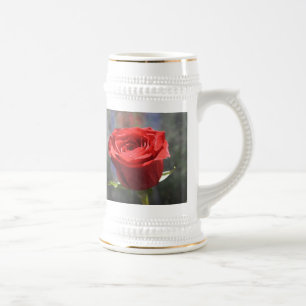 Valentine Ro Stein Sejdel