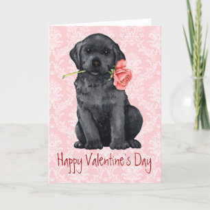 Valentine Ro Svart lab Helgkort