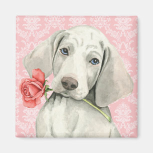 Valentine Ro Weimaraner Magnet