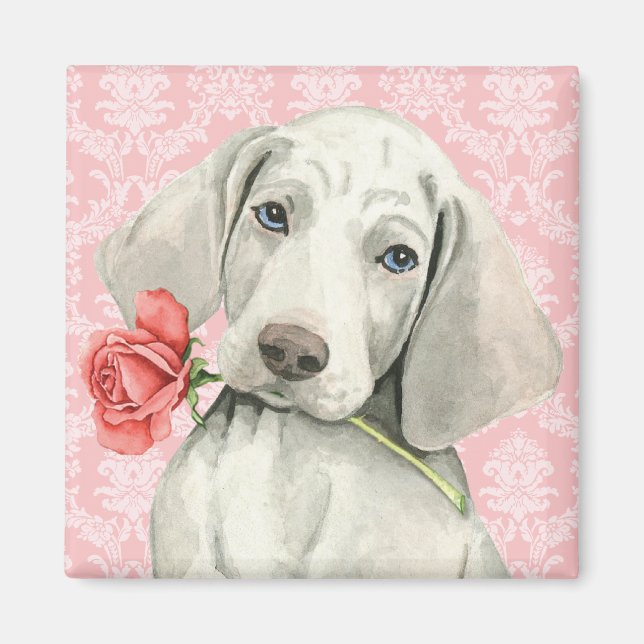 Valentine Ro Weimaraner Magnet (Framsidan)
