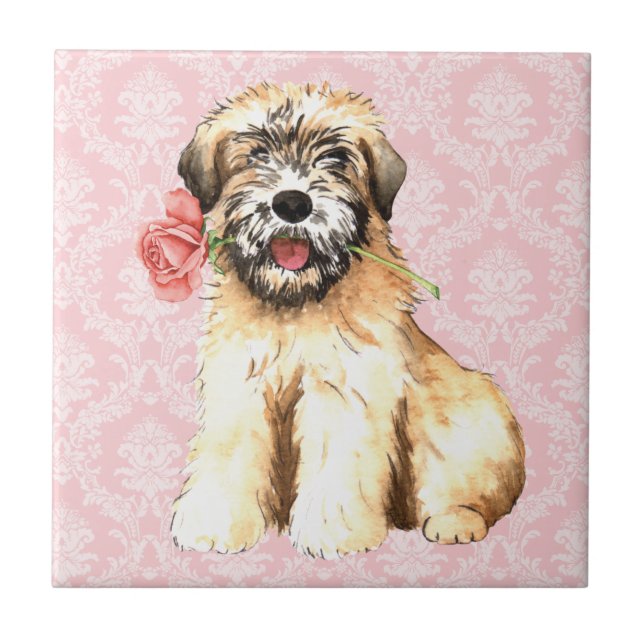 Valentine Ro Wheaten Kakelplatta (Framsidan)