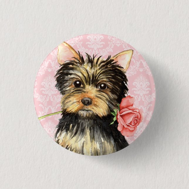 Valentine Ro Yorkie Knapp (Framsida)