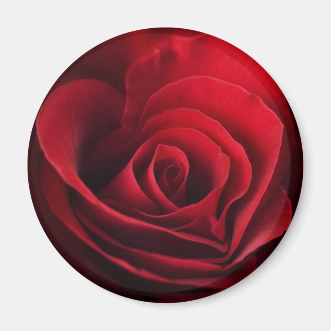 Valentine Röd ros Magnet (Framsidan)