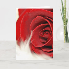 Valentine Röd ros på Päls Kort