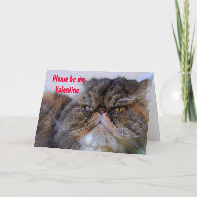 Valentine Romantic Calico Persian Kattunge Card Helgkort (Framsida)